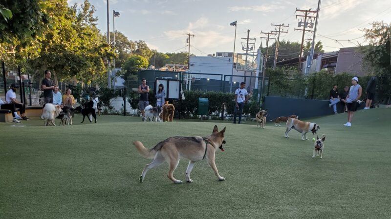 West Hollywood Park Dog Park - West Hollywood, CA