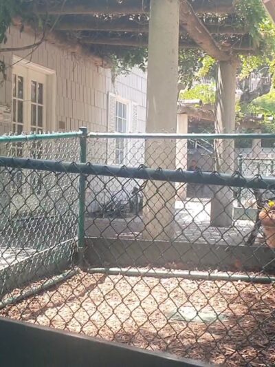 William S Hart Dog Park - West Hollywood, CA