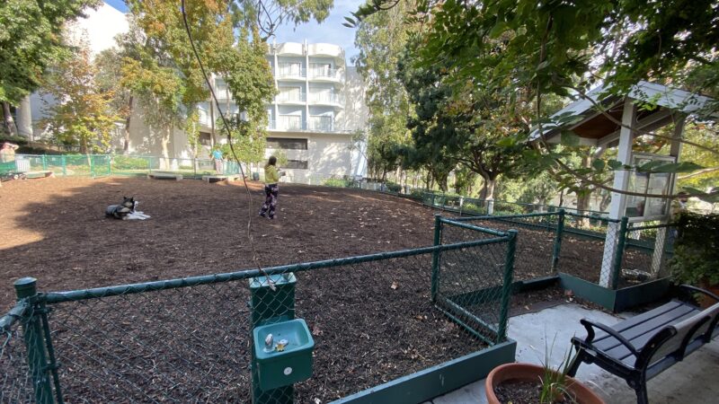 William S Hart Dog Park - West Hollywood, CA