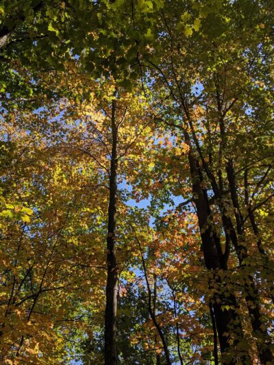 Riverside Park - West Lebanon, NH