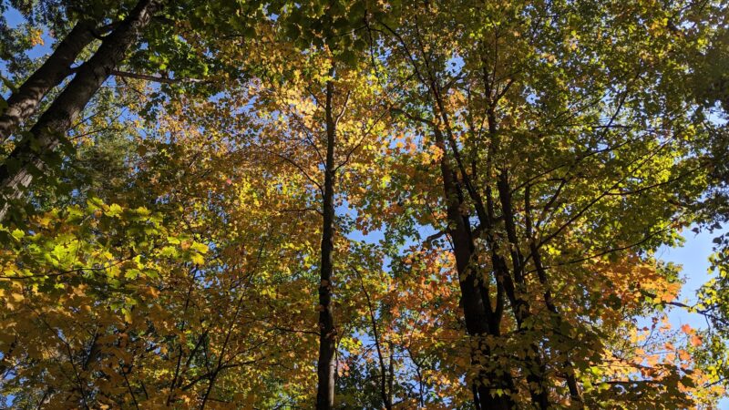 Riverside Park - West Lebanon, NH