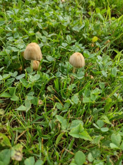 Riverside Park - West Lebanon, NH