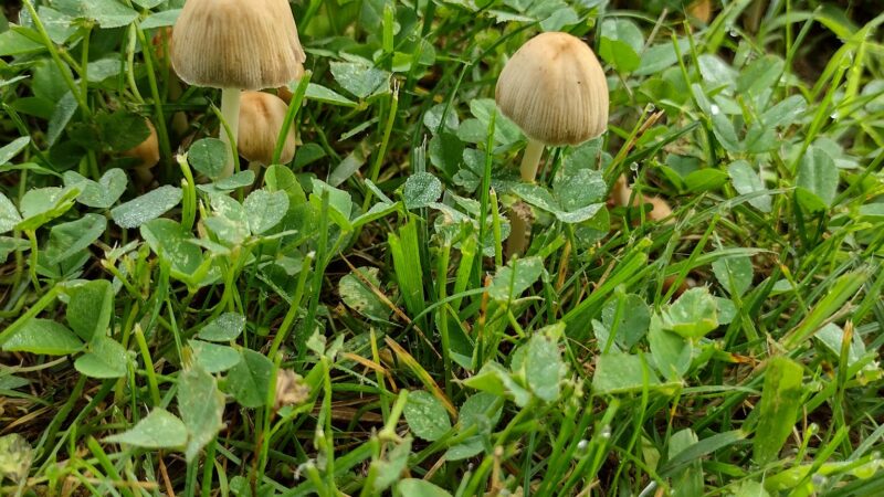 Riverside Park - West Lebanon, NH