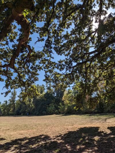 Off-Leash Dog Park - West Linn, OR