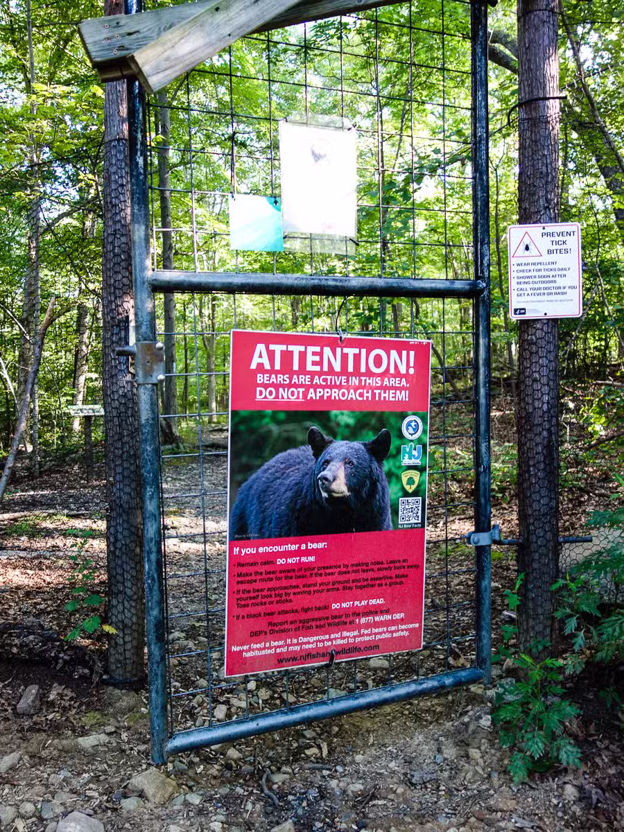 Apshawa Preserve - West Milford, NJ