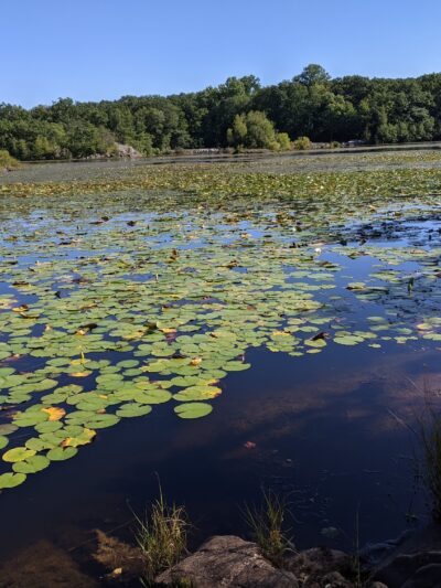 Apshawa Preserve - West Milford, NJ