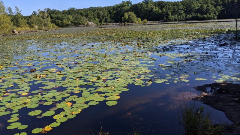 Apshawa Preserve - West Milford, NJ