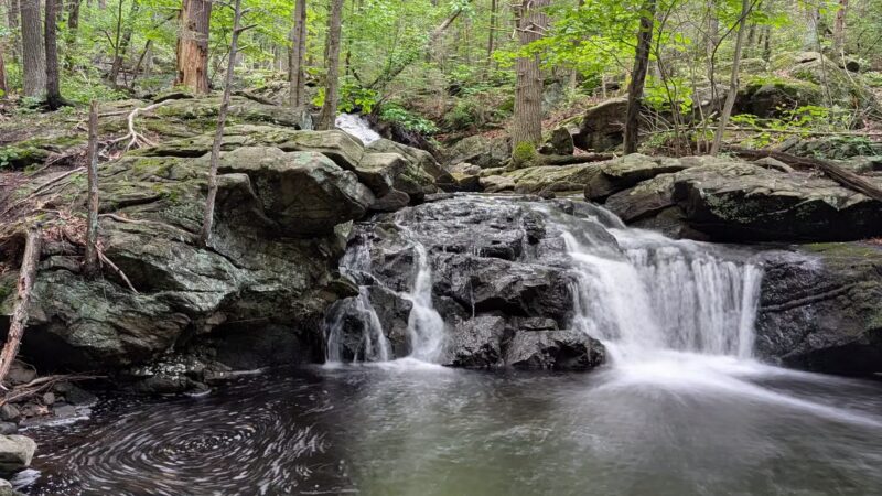 Apshawa Preserve - West Milford, NJ