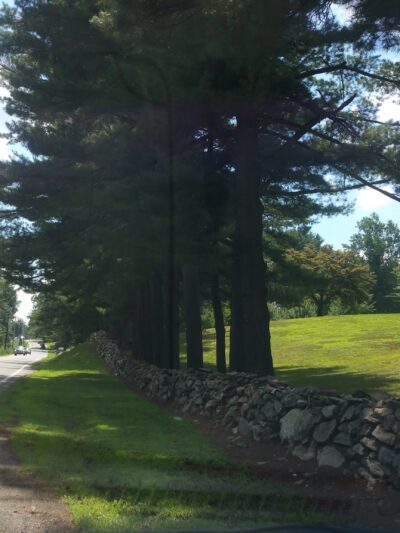 Hope Forest Reserve - West Milford, NJ