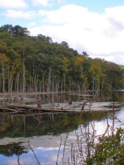 Tranquility Ridge - West Milford, NJ