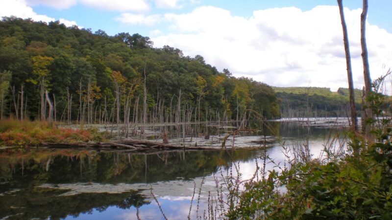 Tranquility Ridge - West Milford, NJ