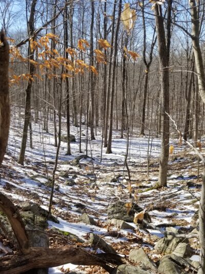 Tranquility Ridge - West Milford, NJ