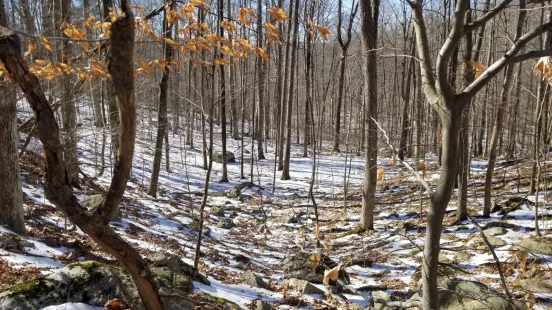 Tranquility Ridge - West Milford, NJ