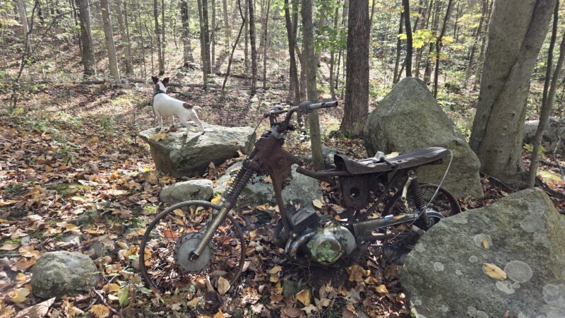 Tranquility Ridge - West Milford, NJ