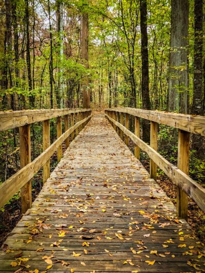 Kiroli Park - West Monroe, LA