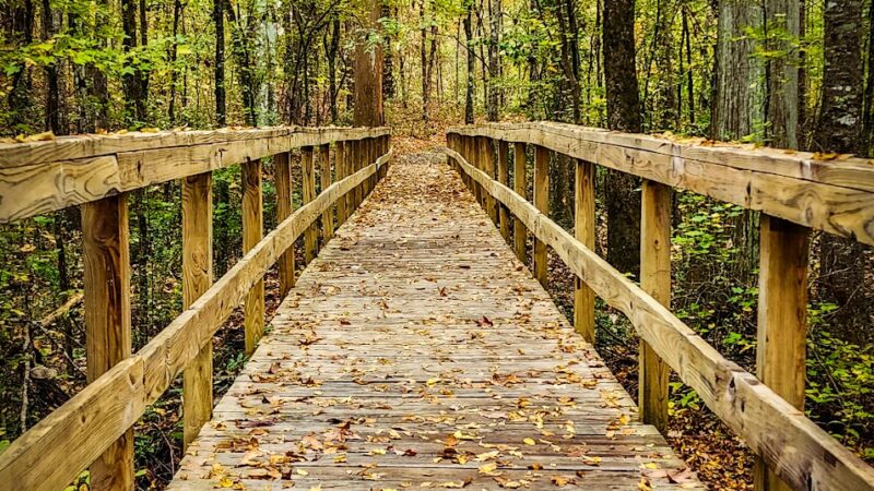Kiroli Park - West Monroe, LA