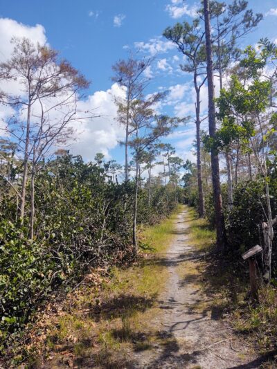 Apoxee Trail - West Palm Beach, FL