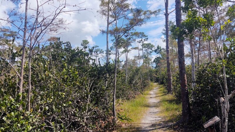 Apoxee Trail - West Palm Beach, FL