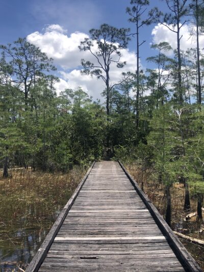 Apoxee Trail - West Palm Beach, FL