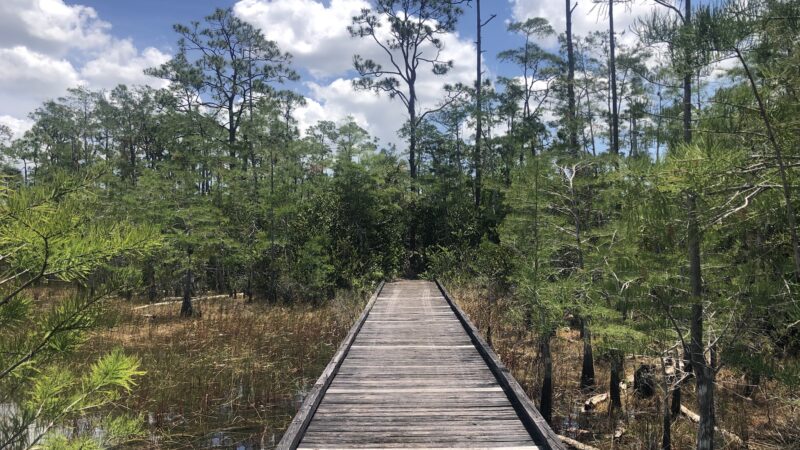 Apoxee Trail - West Palm Beach, FL