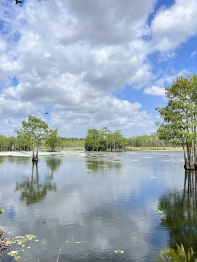 Apoxee Trail - West Palm Beach, FL