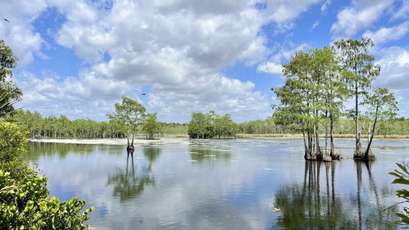 Apoxee Trail - West Palm Beach, FL