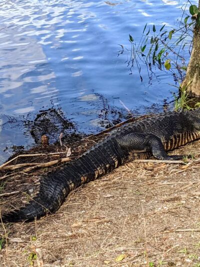 Apoxee Trail - West Palm Beach, FL