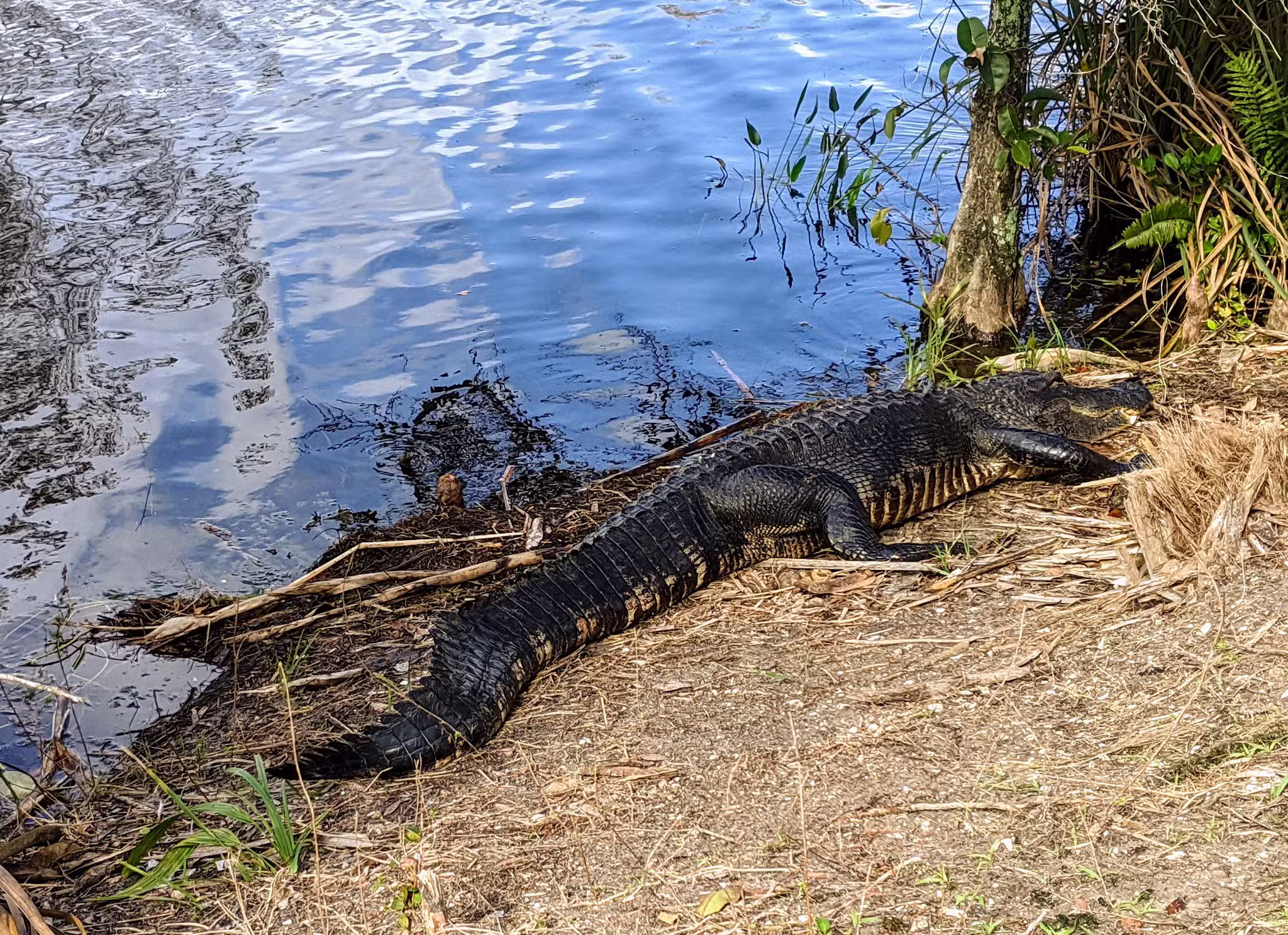 Apoxee Trail - West Palm Beach, FL