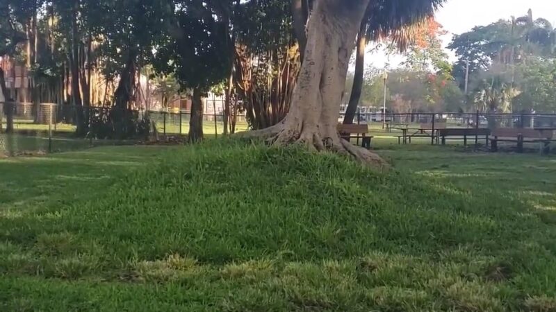 City Paws Dog Park - West Palm Beach, FL