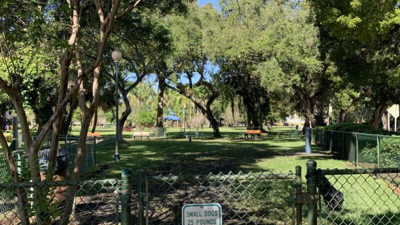 City Paws Dog Park - West Palm Beach, FL