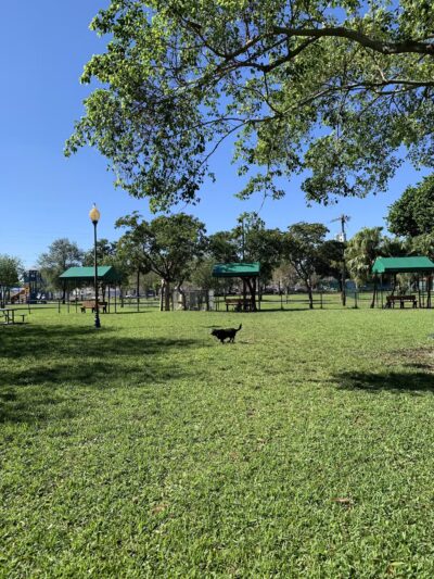City Paws Dog Park - West Palm Beach, FL