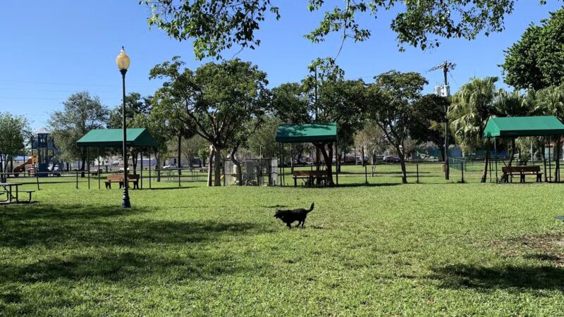 City Paws Dog Park - West Palm Beach, FL
