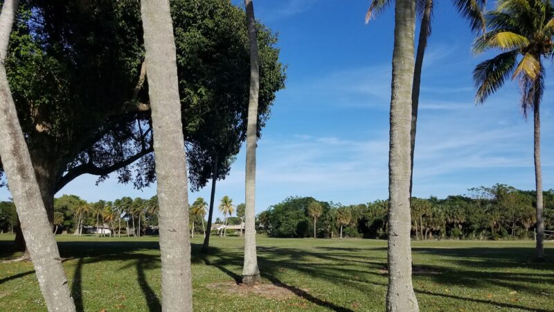 Dreher Dog Park - West Palm Beach, FL