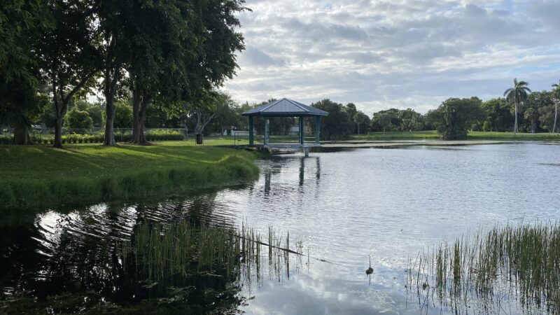 Dreher Dog Park - West Palm Beach, FL