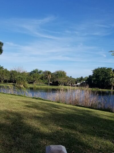 Dreher Dog Park - West Palm Beach, FL