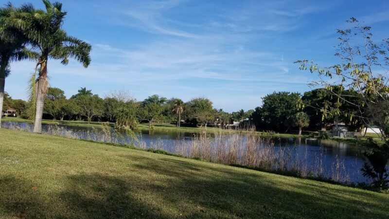 Dreher Dog Park - West Palm Beach, FL
