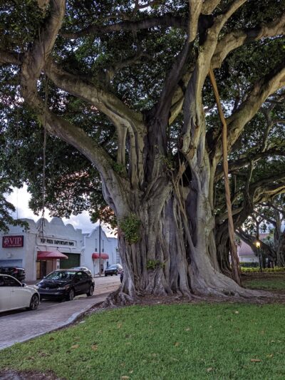 Flamingo Park - West Palm Beach, FL