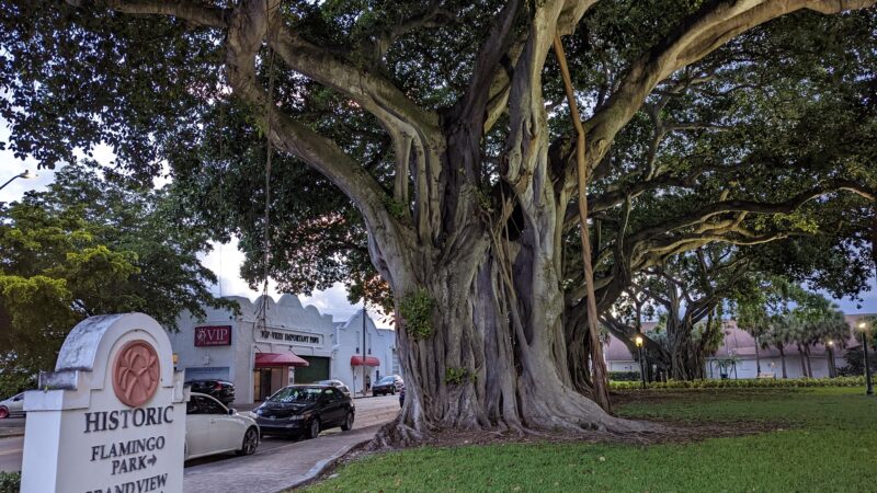 Flamingo Park - West Palm Beach, FL