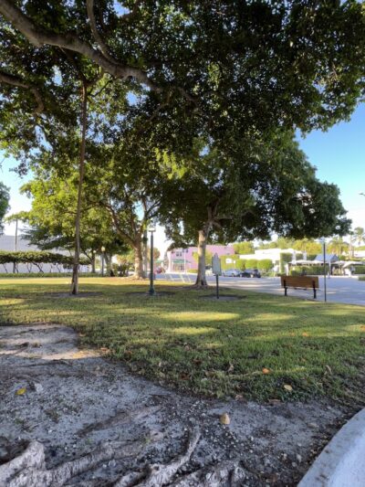 Flamingo Park - West Palm Beach, FL