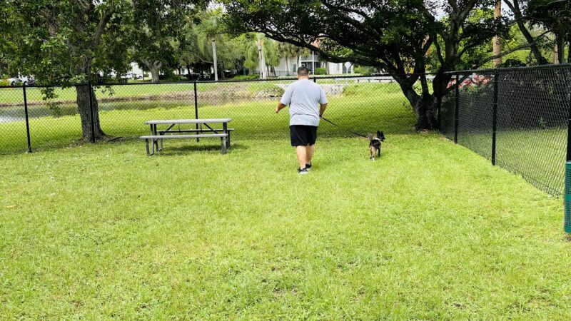 HeavenlyDogPark - West Palm Beach, FL