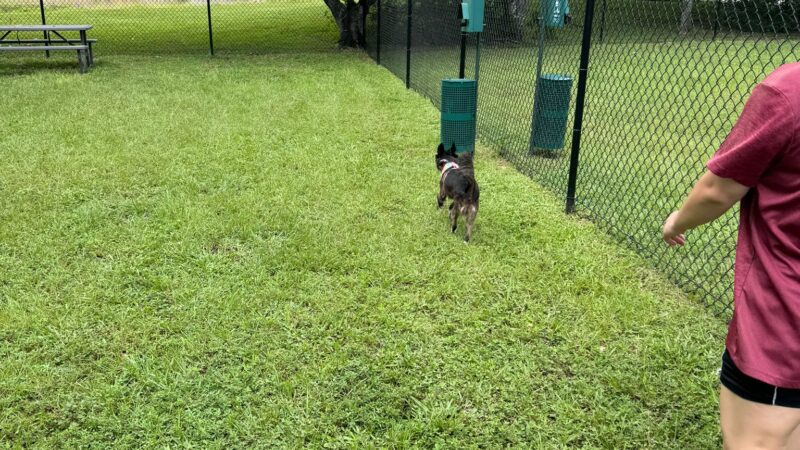 HeavenlyDogPark - West Palm Beach, FL