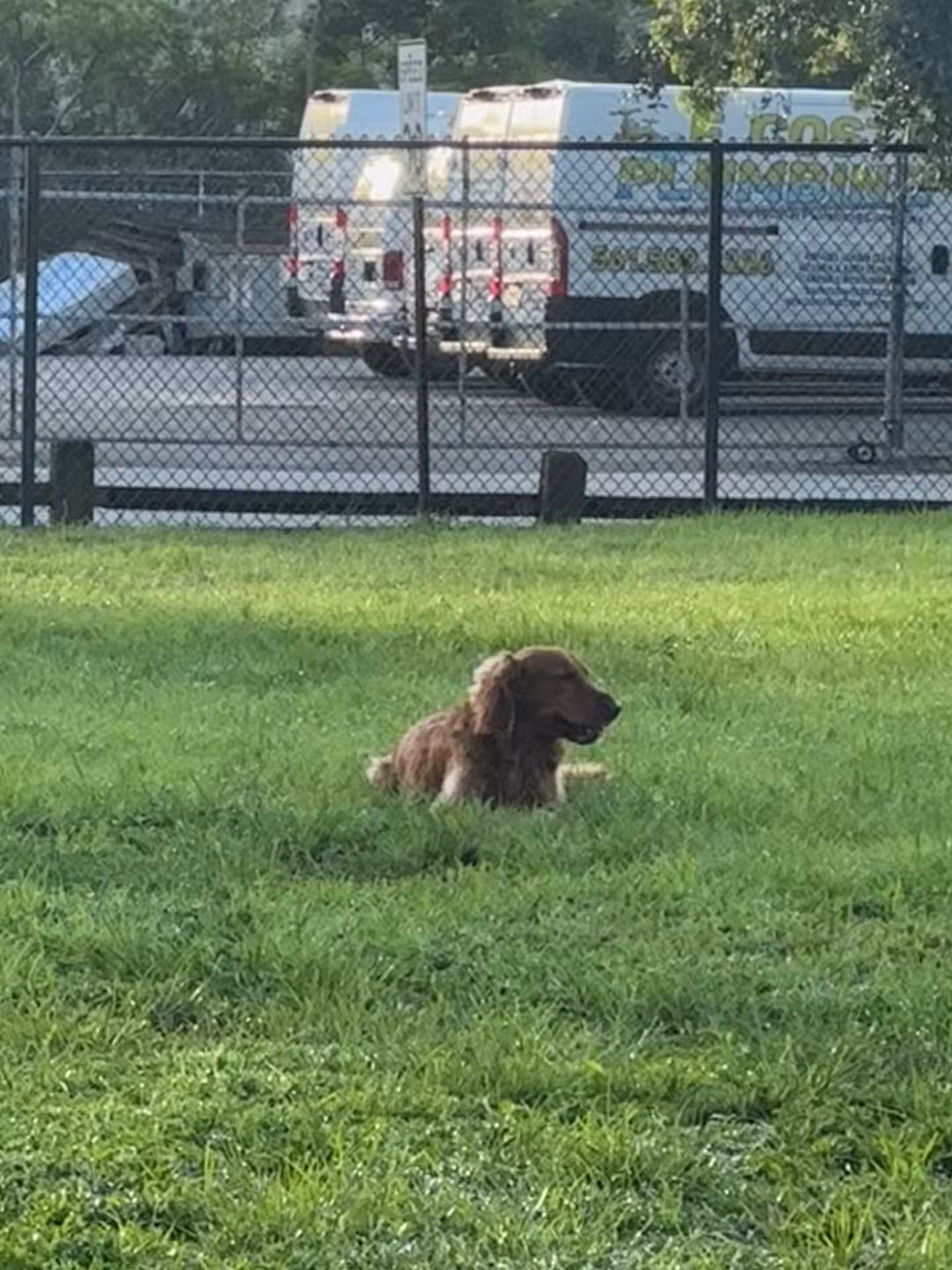 Mary Brandon Dog Park - West Palm Beach, FL