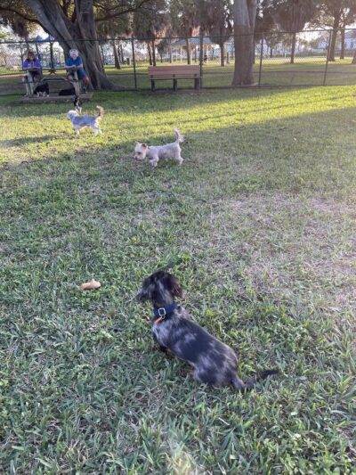 Mary Brandon Park - West Palm Beach, FL
