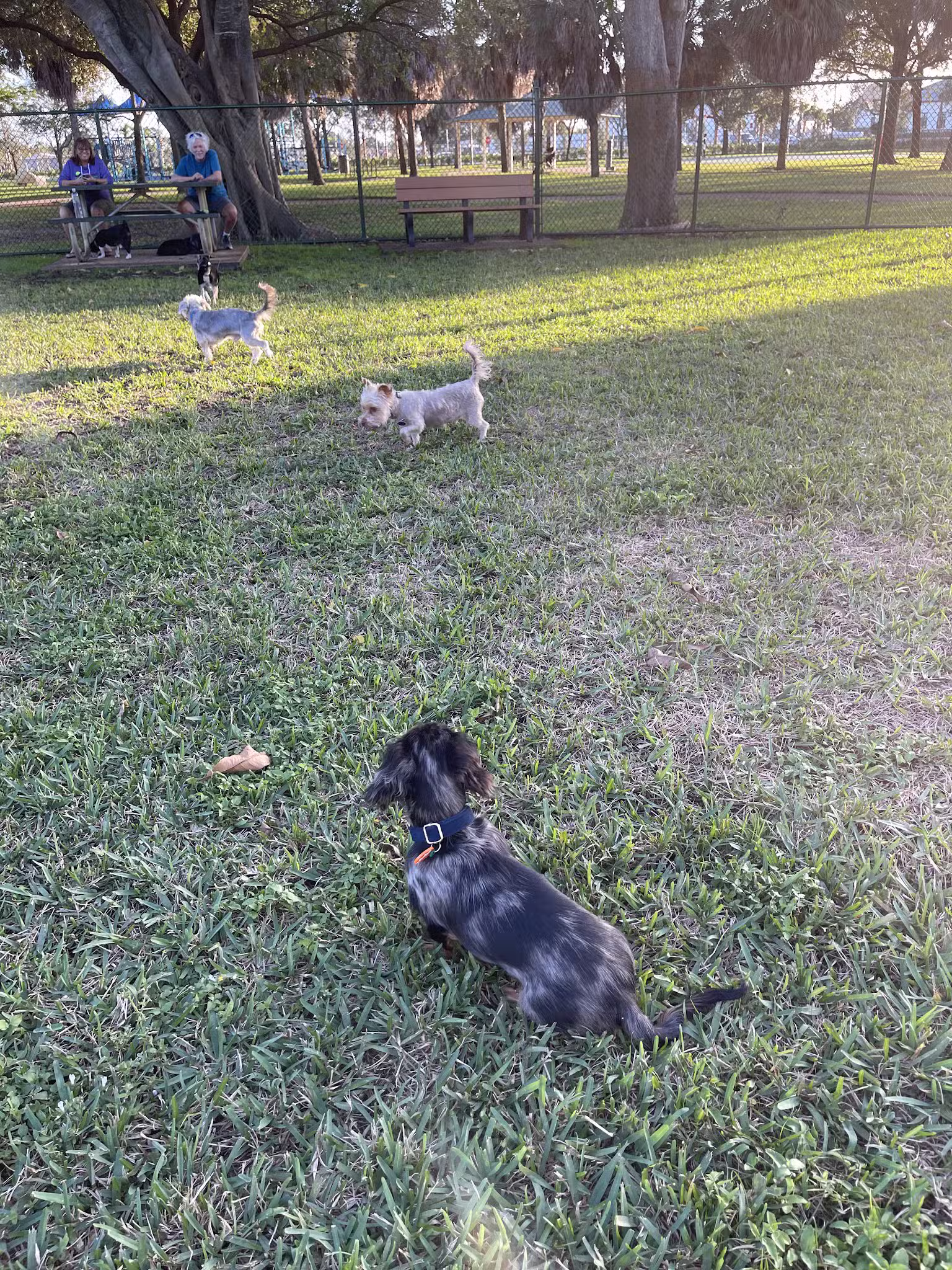 Mary Brandon Park - West Palm Beach, FL