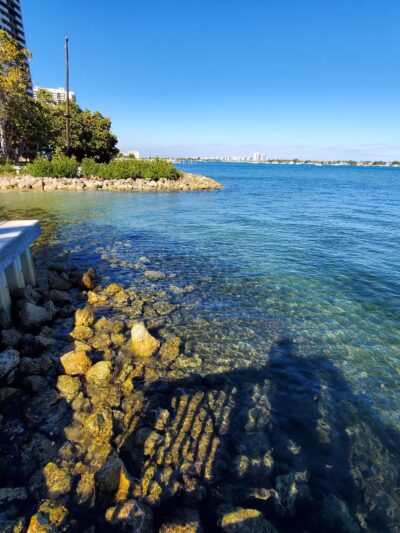 Osprey Park - West Palm Beach, FL