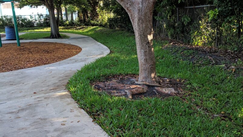 Town Hall park - West Palm Beach, FL
