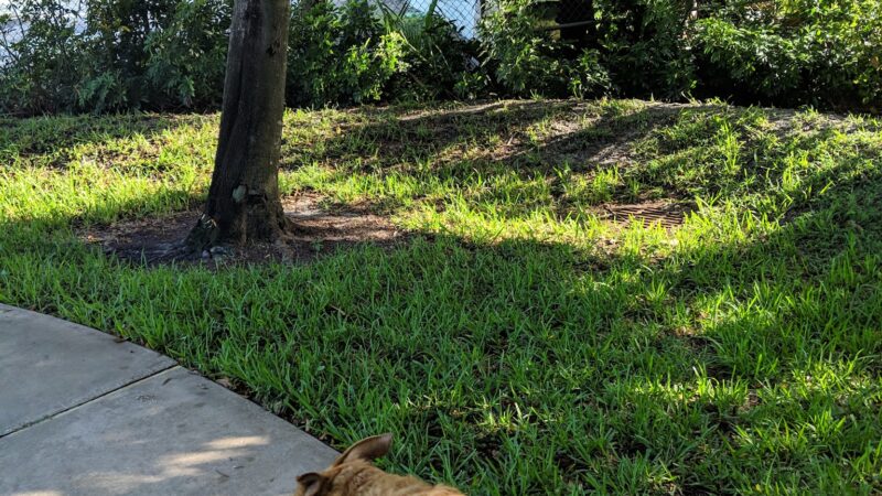 Town Hall park - West Palm Beach, FL