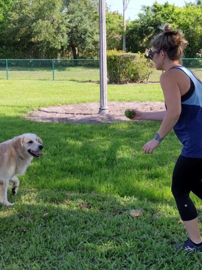 Village Paws Park - West Palm Beach, FL