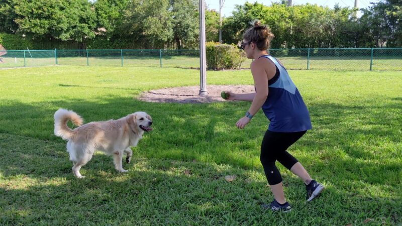 Village Paws Park - West Palm Beach, FL