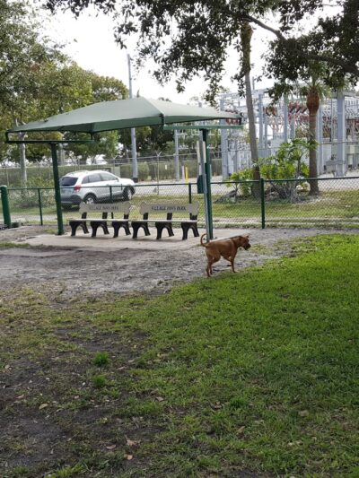 Village Paws Park - West Palm Beach, FL
